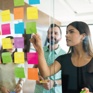 Objetivo Principal SEPI ESE